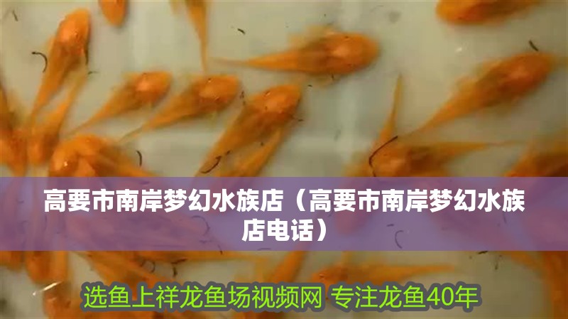 高要市南岸夢幻水族店（高要市南岸夢幻水族店電話） 高要市南岸夢幻水族店（高要市南岸夢幻水族店電話） 全國水族館企業名錄 第2張