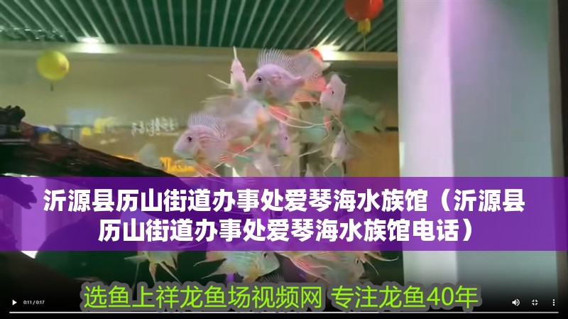 沂源縣歷山街道辦事處愛琴海水族館（沂源縣歷山街道辦事處愛琴海水族館電話）