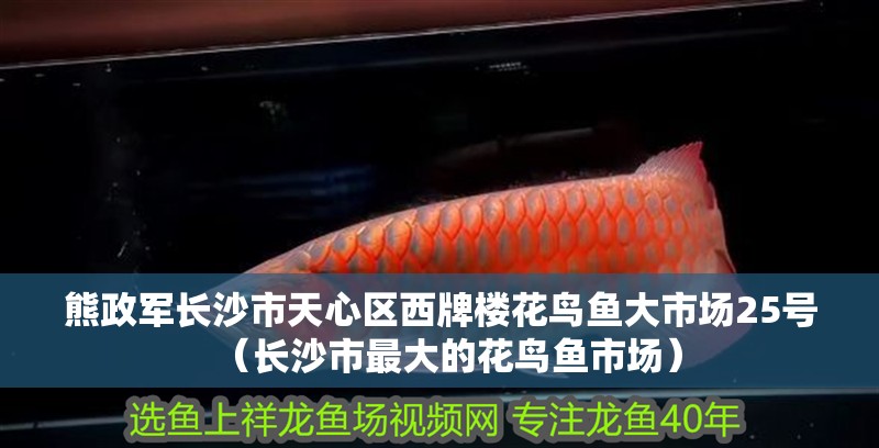 熊政軍長沙市天心區(qū)西牌樓花鳥魚大市場25號（長沙市最大的花鳥魚市場） 熊政軍長沙市天心區(qū)西牌樓花鳥魚大市場25號（長沙市最大的花鳥魚市場） 全國水族館企業(yè)名錄 第2張