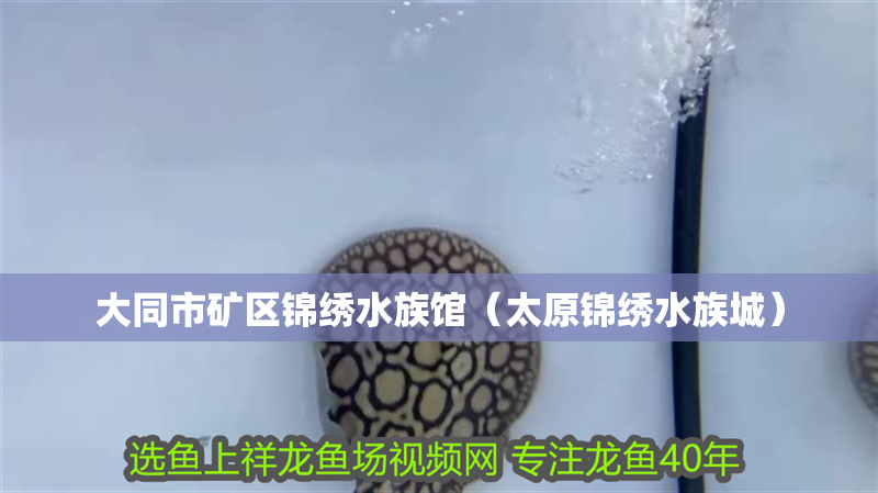 大同市礦區錦繡水族館（太原錦繡水族城）