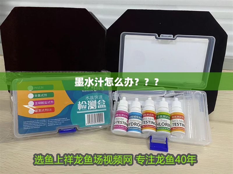 墨水汁怎么辦？？？