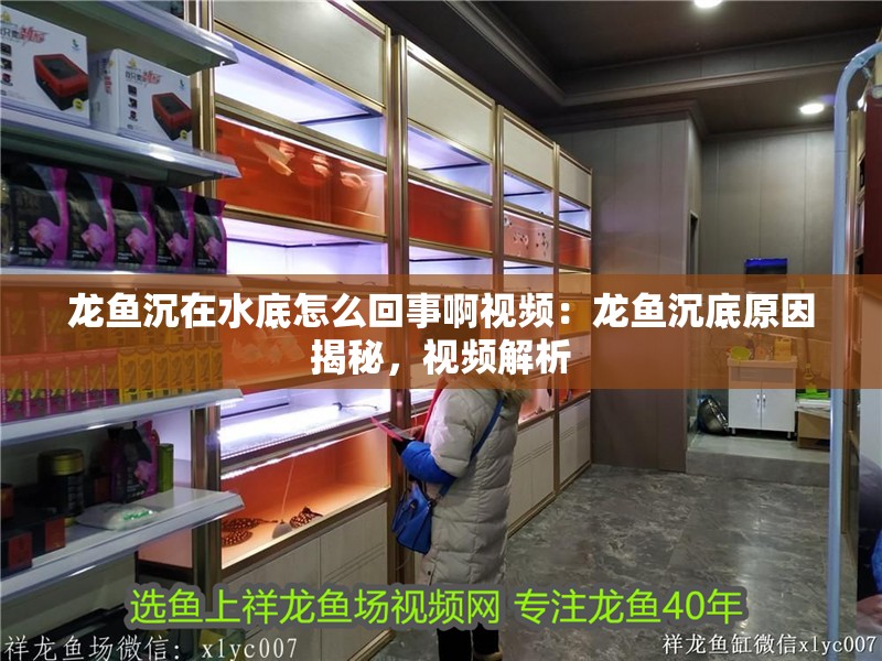 龍魚沉在水底怎么回事啊視頻：龍魚沉底原因揭秘，視頻解析