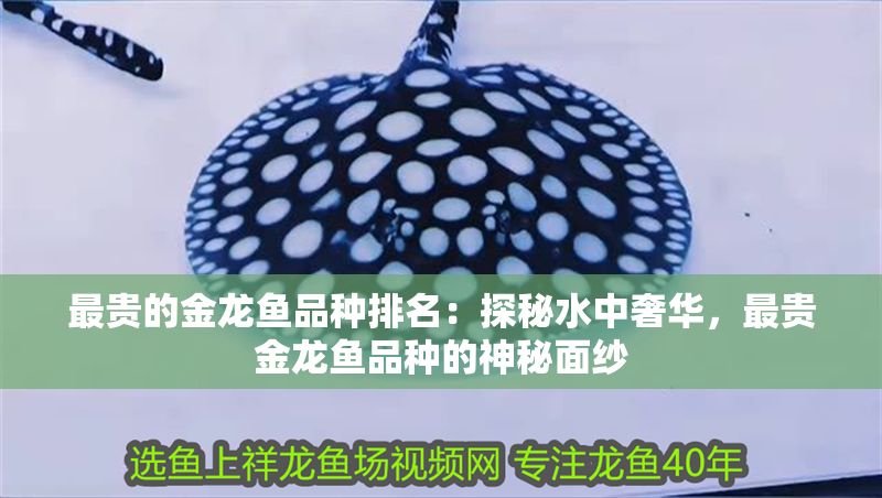 最貴的金龍魚品種排名：探秘水中奢華，最貴金龍魚品種的神秘面紗 最貴的金龍魚品種排名：探秘水中奢華，最貴金龍魚品種的神秘面紗 龍魚百科 第1張