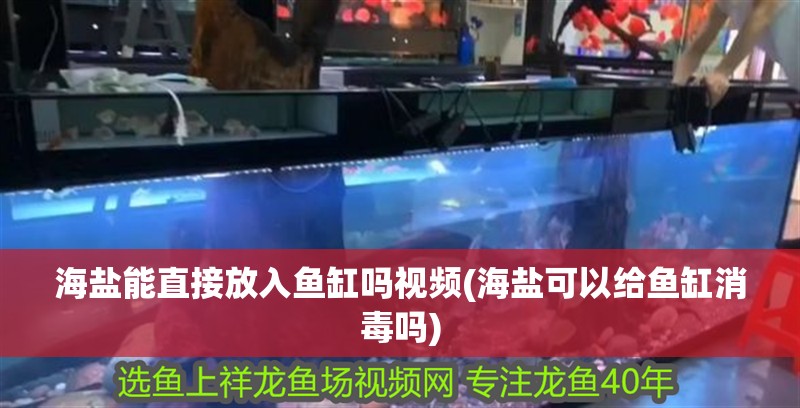海鹽能直接放入魚缸嗎視頻(海鹽可以給魚缸消毒嗎)