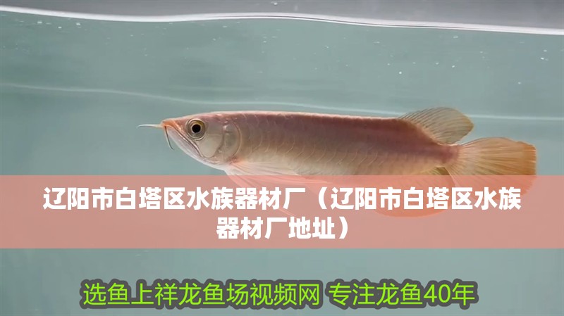 遼陽市白塔區水族器材廠（遼陽市白塔區水族器材廠地址）