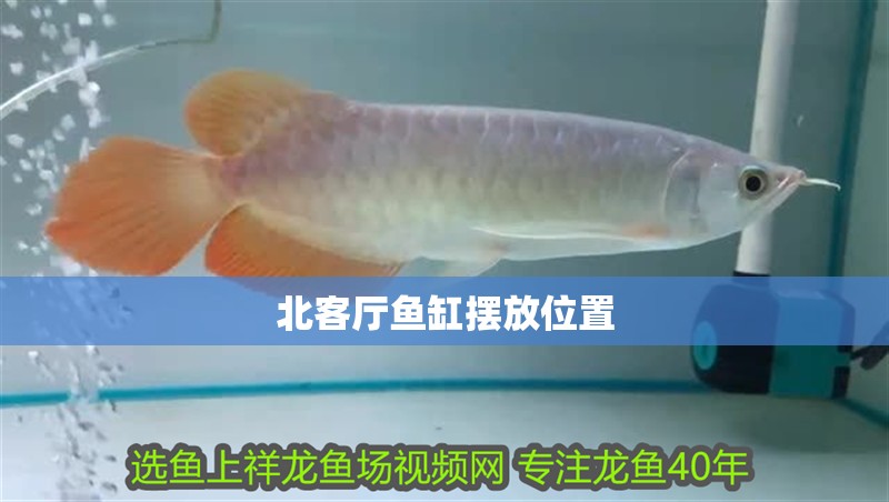 北客廳魚缸擺放位置