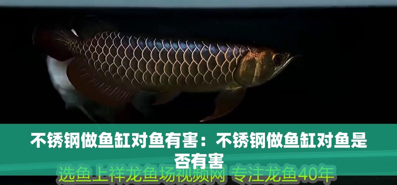 不銹鋼做魚缸對魚有害：不銹鋼做魚缸對魚是否有害