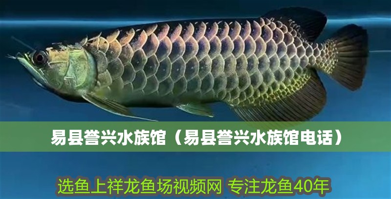 易縣譽興水族館（易縣譽興水族館電話）