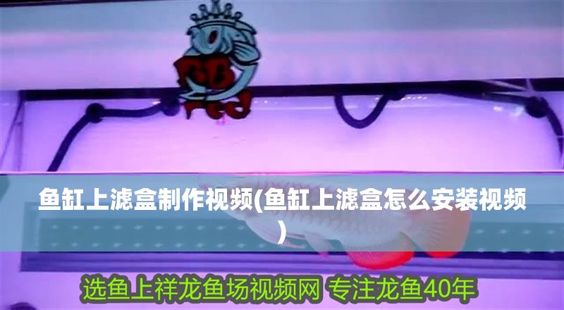 魚缸上濾盒制作視頻(魚缸上濾盒怎么安裝視頻)