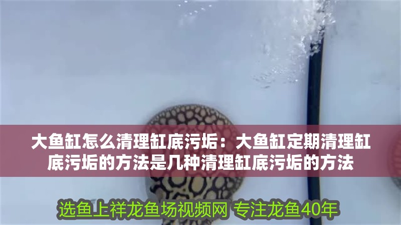 大魚缸怎么清理缸底污垢：大魚缸定期清理缸底污垢的方法是幾種清理缸底污垢的方法