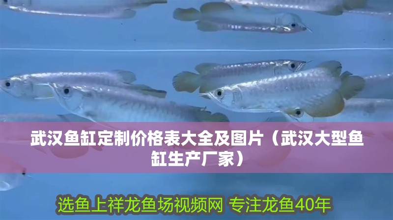 武漢魚缸定制價格表大全及圖片（武漢大型魚缸生產(chǎn)廠家）