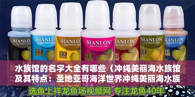 水族館的名字大全有哪些（沖繩美麗海水族館及其特點：圣地亞哥海洋世界沖繩美麗海水族館）