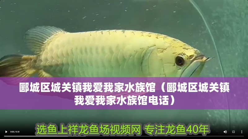 郾城區(qū)城關鎮(zhèn)我愛我家水族館（郾城區(qū)城關鎮(zhèn)我愛我家水族館電話）