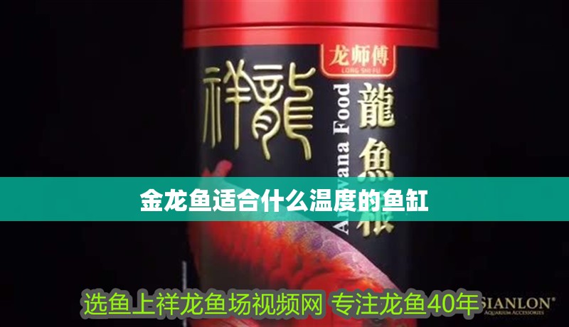 金龍魚適合什么溫度的魚缸