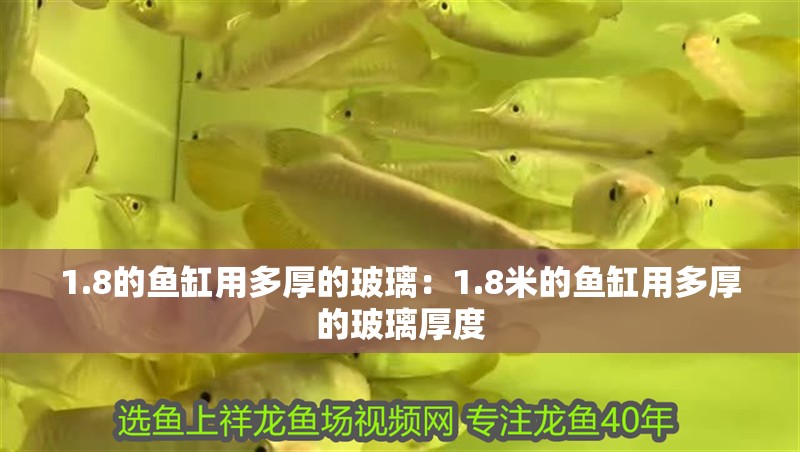 1.8的魚缸用多厚的玻璃：1.8米的魚缸用多厚的玻璃厚度 1.8的魚缸用多厚的玻璃：1.8米的魚缸用多厚的玻璃厚度 魚缸百科