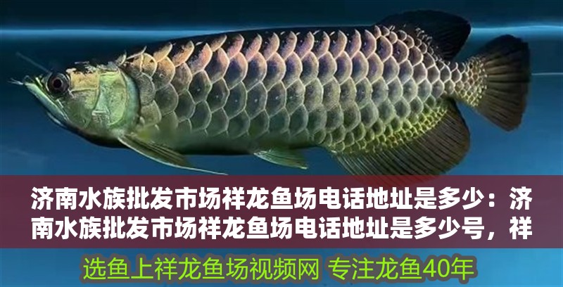 濟南水族批發市場祥龍魚場電話地址是多少：濟南水族批發市場祥龍魚場電話地址是多少號，祥龍魚場電話