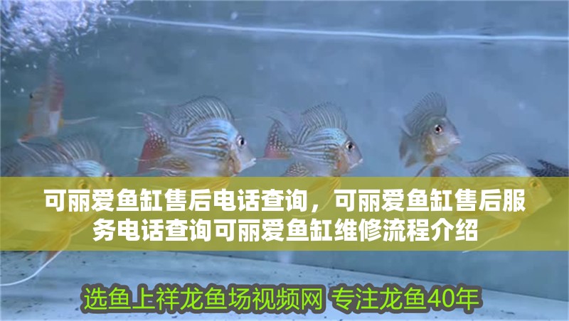 可麗愛魚缸售后電話查詢，可麗愛魚缸售后服務電話查詢可麗愛魚缸維修流程介紹