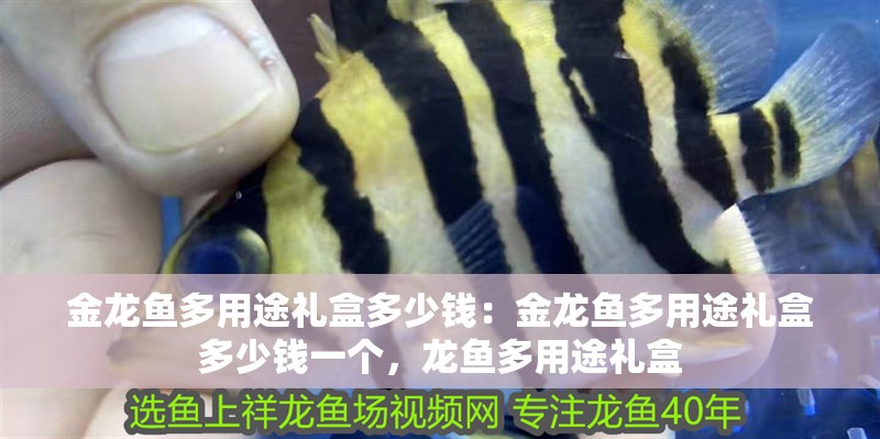 金龍魚多用途禮盒多少錢：金龍魚多用途禮盒多少錢一個(gè)，龍魚多用途禮盒 金龍魚多用途禮盒多少錢：金龍魚多用途禮盒多少錢一個(gè)，龍魚多用途禮盒 水族問答