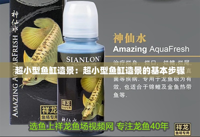 超小型魚缸造景：超小型魚缸造景的基本步驟