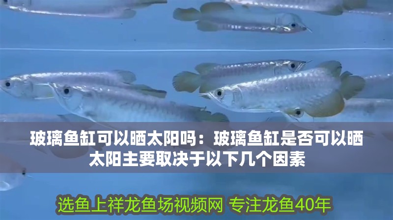 玻璃魚缸可以曬太陽嗎：玻璃魚缸是否可以曬太陽主要取決于以下幾個因素 玻璃魚缸可以曬太陽嗎：玻璃魚缸是否可以曬太陽主要取決于以下幾個因素 魚缸百科