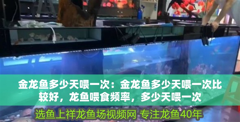 金龍魚多少天喂一次：金龍魚多少天喂一次比較好，龍魚喂食頻率，多少天喂一次