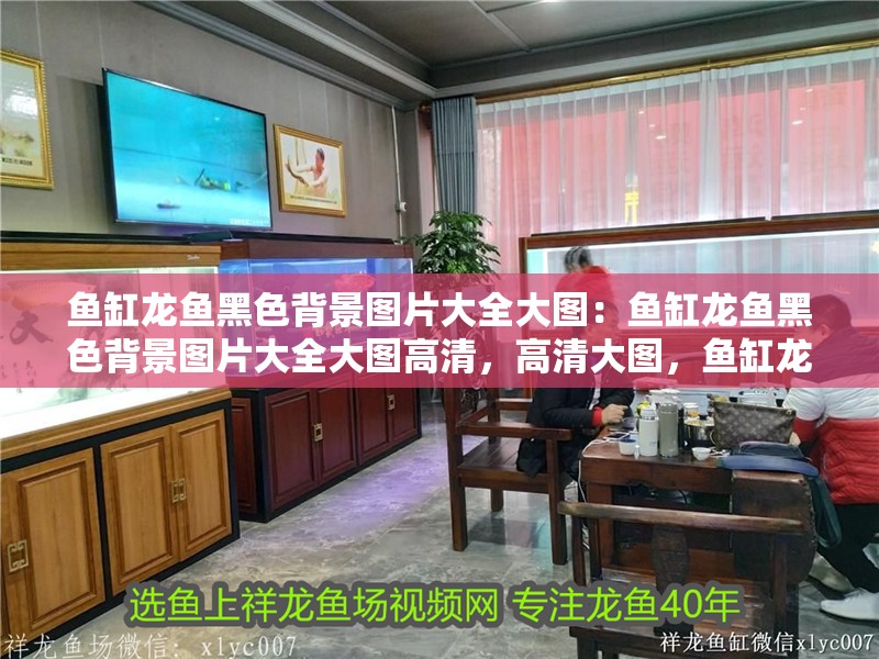 魚缸龍魚黑色背景圖片大全大圖：魚缸龍魚黑色背景圖片大全大圖高清，高清大圖，魚缸龍魚黑色背景