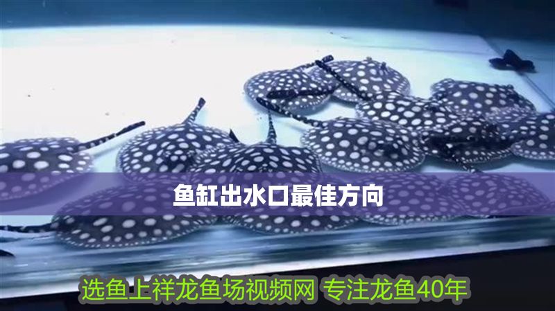 魚缸出水口最佳方向