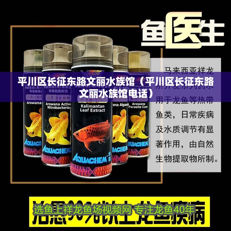 平川區長征東路文麗水族館（平川區長征東路文麗水族館電話） 平川區長征東路文麗水族館（平川區長征東路文麗水族館電話） 全國水族館企業名錄 第2張