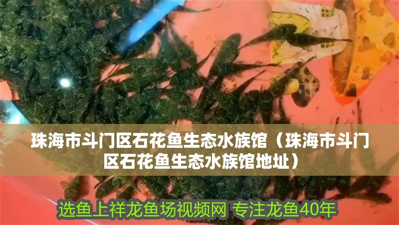 珠海市斗門區石花魚生態水族館（珠海市斗門區石花魚生態水族館地址）