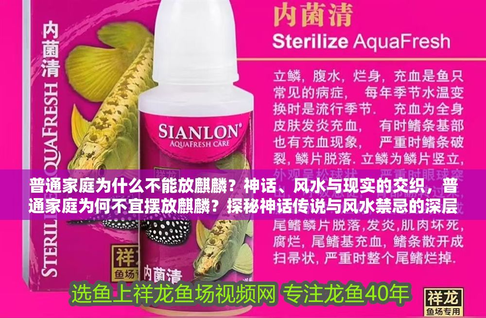 普通家庭為什么不能放麒麟？神話、風水與現實的交織，普通家庭為何不宜擺放麒麟？探秘神話傳說與風水禁忌的深層關聯