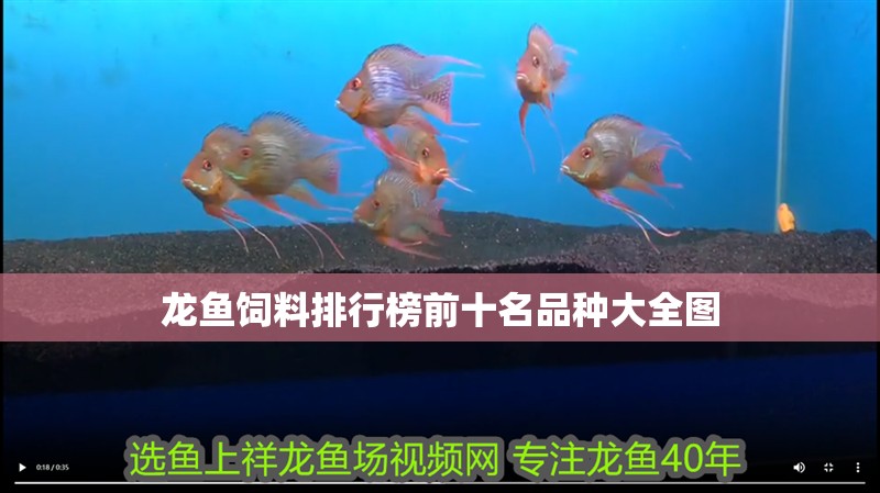 龍魚飼料排行榜前十名品種大全圖
