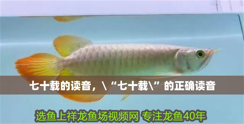 七十載的讀音，\“七十載\”的正確讀音 七十載的讀音，\“七十載\”的正確讀音 龍魚論壇