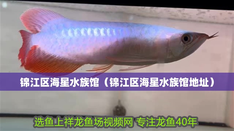 錦江區海星水族館（錦江區海星水族館地址） 錦江區海星水族館（錦江區海星水族館地址） 全國水族館企業名錄 第2張