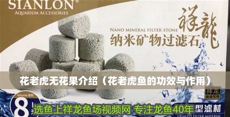 花老虎無花果介紹（花老虎魚的功效與作用）