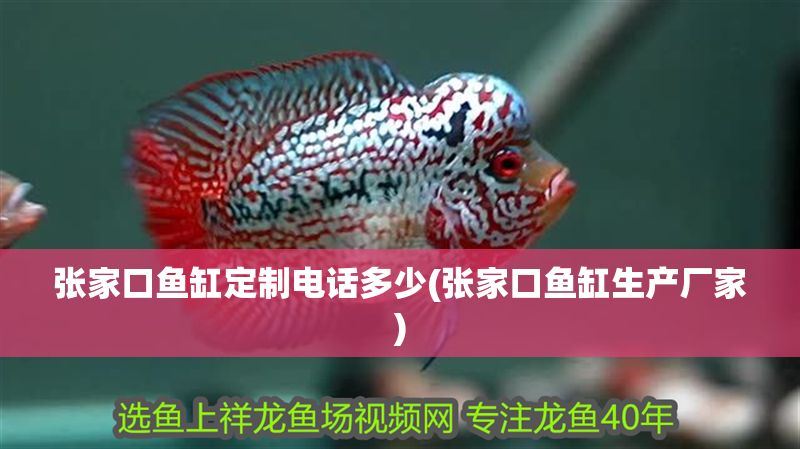 張家口魚缸定制電話多少(張家口魚缸生產廠家) 張家口魚缸定制電話多少(張家口魚缸生產廠家) 錦鯉魚百科 第1張