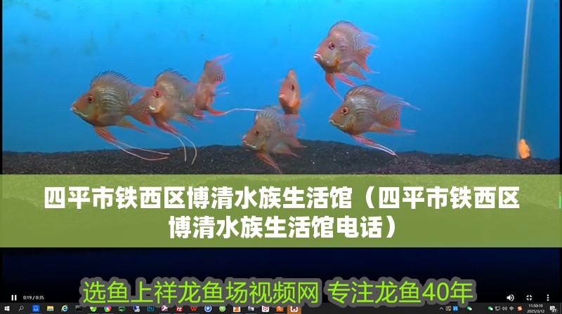 四平市鐵西區(qū)博清水族生活館（四平市鐵西區(qū)博清水族生活館電話）