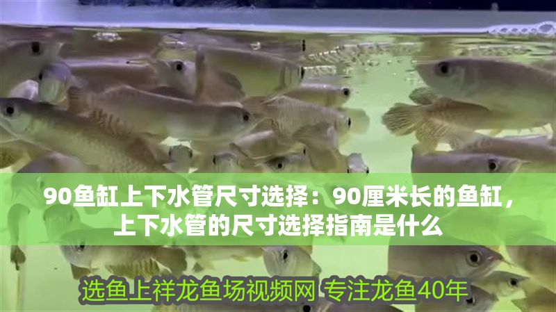 90魚缸上下水管尺寸選擇：90厘米長的魚缸，上下水管的尺寸選擇指南是什么 90魚缸上下水管尺寸選擇：90厘米長的魚缸，上下水管的尺寸選擇指南是什么 魚缸百科 第2張