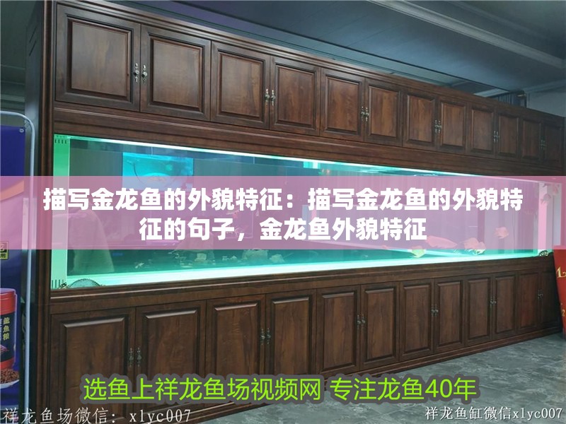 描寫金龍魚的外貌特征：描寫金龍魚的外貌特征的句子，金龍魚外貌特征