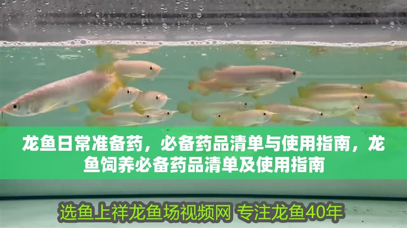 龍魚日常準備藥，必備藥品清單與使用指南，龍魚飼養必備藥品清單及使用指南