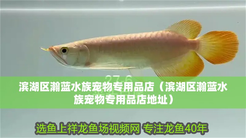 濱湖區瀚藍水族寵物專用品店（濱湖區瀚藍水族寵物專用品店地址）