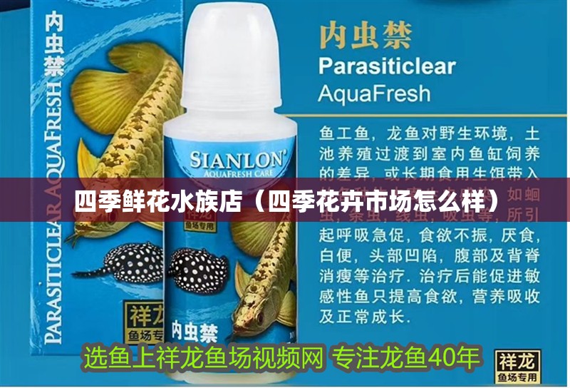 四季鮮花水族店（四季花卉市場怎么樣）
