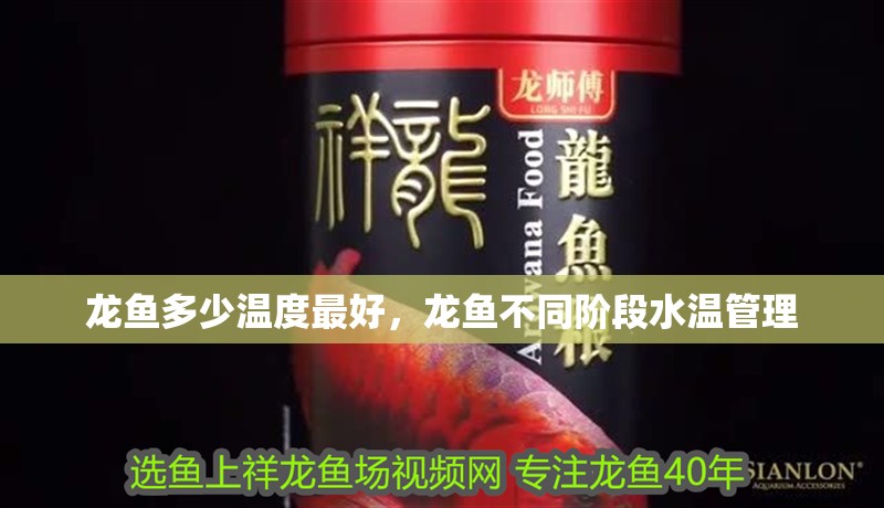 龍魚多少溫度最好，龍魚不同階段水溫管理