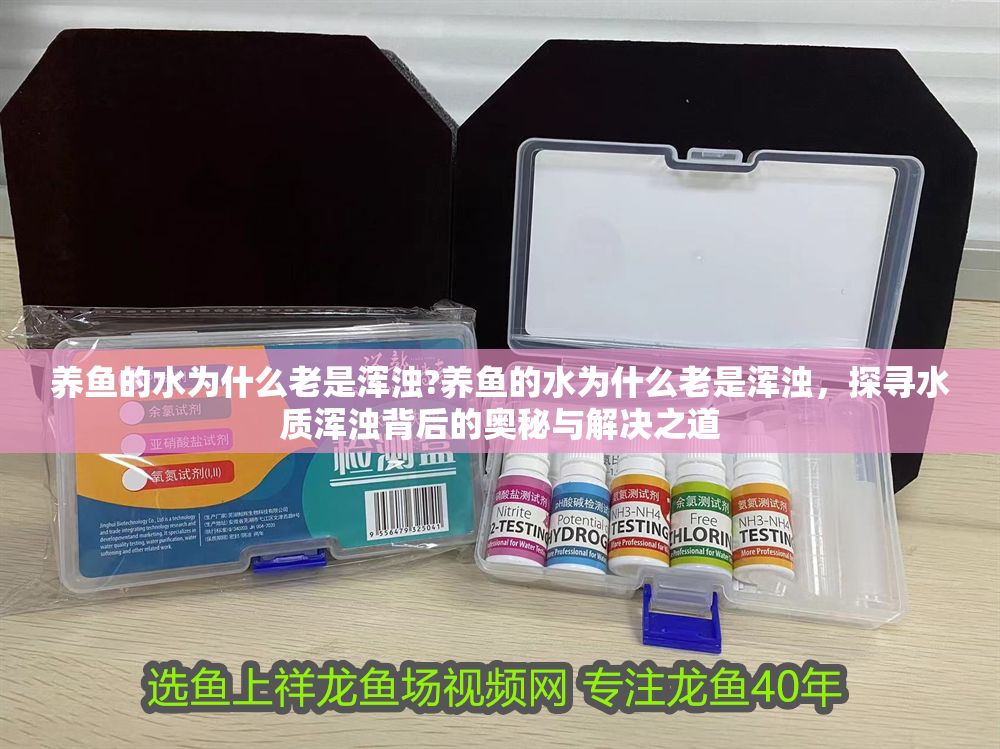 養(yǎng)魚(yú)的水為什么老是渾濁?養(yǎng)魚(yú)的水為什么老是渾濁，探尋水質(zhì)渾濁背后的奧秘與解決之道