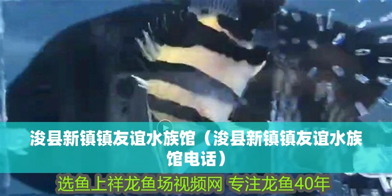 浚縣新鎮鎮友誼水族館（浚縣新鎮鎮友誼水族館電話）
