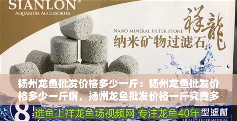 揚州龍魚批發價格多少一斤：揚州龍魚批發價格多少一斤啊，揚州龍魚批發價格一斤究竟多少？