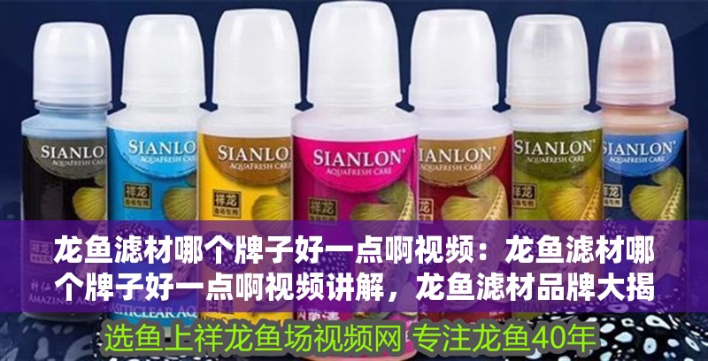 龍魚濾材哪個牌子好一點啊視頻：龍魚濾材哪個牌子好一點啊視頻講解，龍魚濾材品牌大揭秘，哪個牌子更勝一籌 龍魚濾材哪個牌子好一點啊視頻：龍魚濾材哪個牌子好一點啊視頻講解，龍魚濾材品牌大揭秘，哪個牌子更勝一籌 水族問答