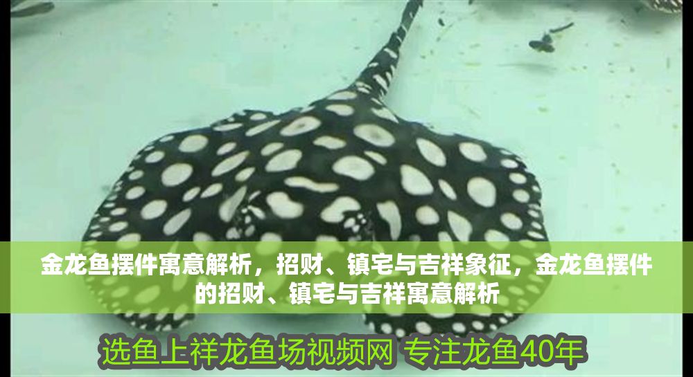 金龍魚擺件寓意解析，招財、鎮宅與吉祥象征，金龍魚擺件的招財、鎮宅與吉祥寓意解析 金龍魚擺件寓意解析，招財、鎮宅與吉祥象征，金龍魚擺件的招財、鎮宅與吉祥寓意解析 龍魚百科 第1張