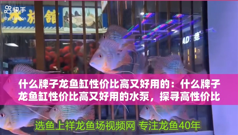 什么牌子龍魚缸性價比高又好用的：什么牌子龍魚缸性價比高又好用的水泵，探尋高性價比又好用的龍魚缸及適配水泵 什么牌子龍魚缸性價比高又好用的：什么牌子龍魚缸性價比高又好用的水泵，探尋高性價比又好用的龍魚缸及適配水泵 水族問答