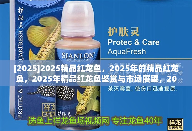 [2025]2025精品紅龍魚，2025年的精品紅龍魚，2025年精品紅龍魚鑒賞與市場展望，2025年精品紅龍魚鑒賞與市場前景分析，2025年精品紅龍魚鑒賞與市場前景分析，2025年精品紅龍魚鑒賞與市場前景分析，2025年精品紅龍魚鑒賞與市場前景分析，2025年精品紅龍魚鑒賞與市場前景分析