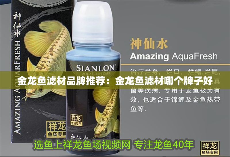 金龍魚濾材品牌推薦：金龍魚濾材哪個牌子好